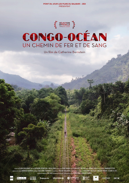 congo ocean congo ocean