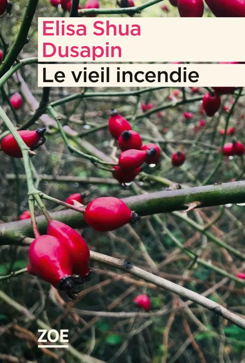 Couverture Le vieil incendie Couverture Le vieil incendie