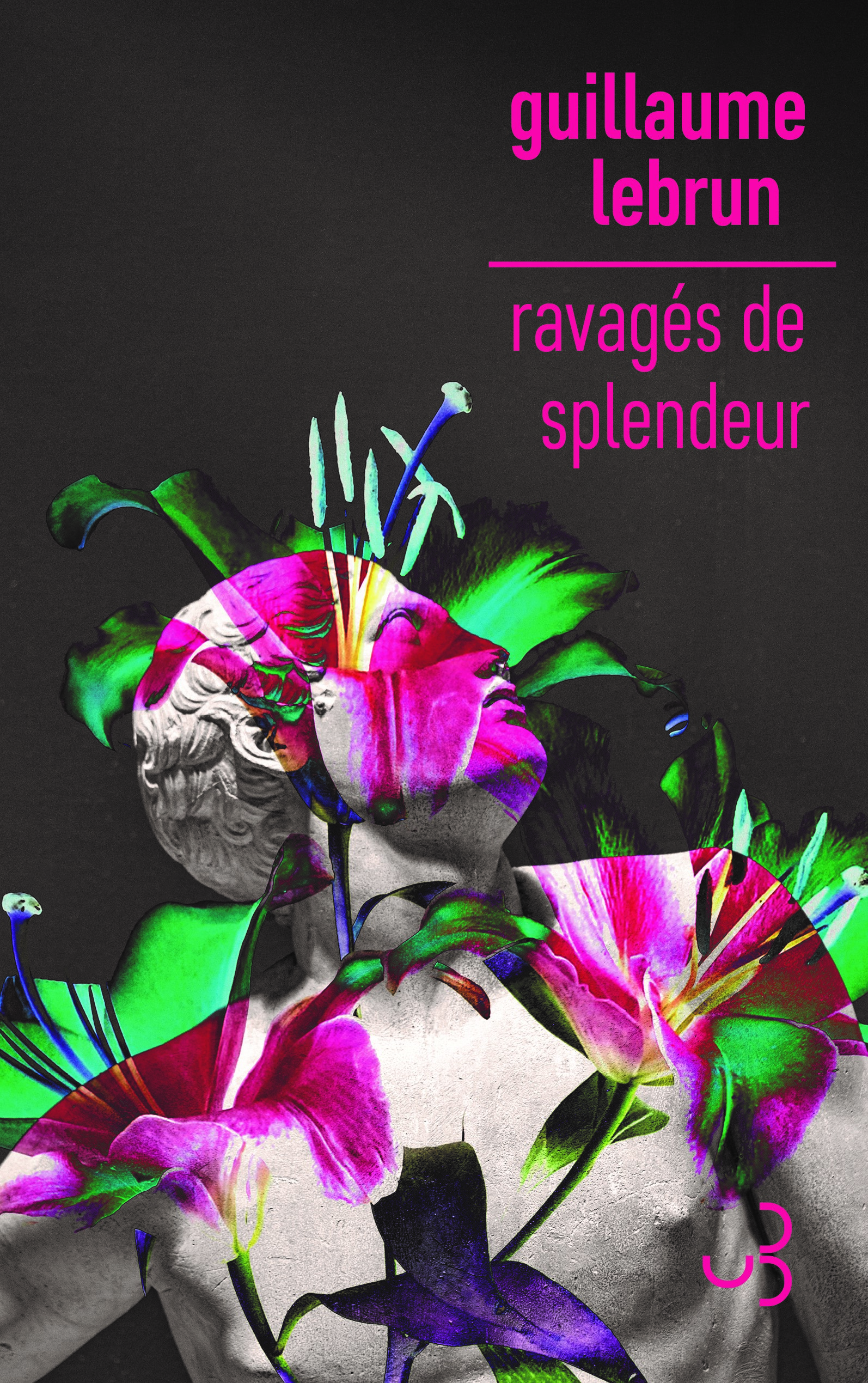 Couverture Ravagés de splendeur, Guillaume Lebrun Couverture Ravagés de splendeur, Guillaume Lebrun
