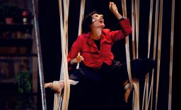 Le magasin des suicides | Compagnie Easy to Digest & Collectif La Basse Cour  